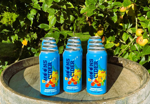 Festival Cans, Medium-Sweet 440ml